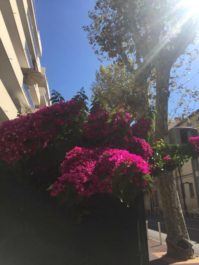 Jardins Du Pont Du Lys Appartement Juan-les-Pins Buitenkant foto